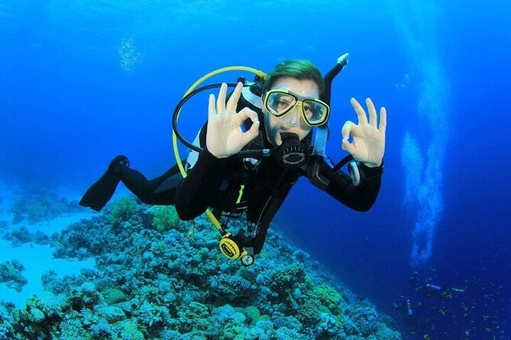 Alanya : Scuba Diving for Beginners w/ Lunch and Transfer