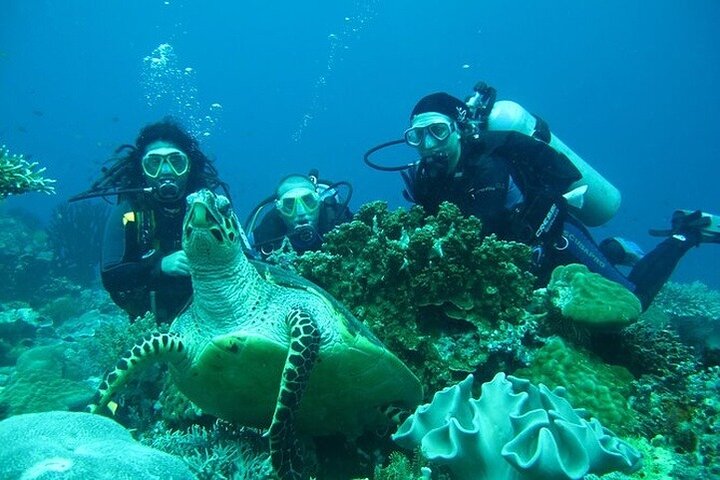 Alanya : Scuba Diving for Beginners w/ Lunch and Transfer