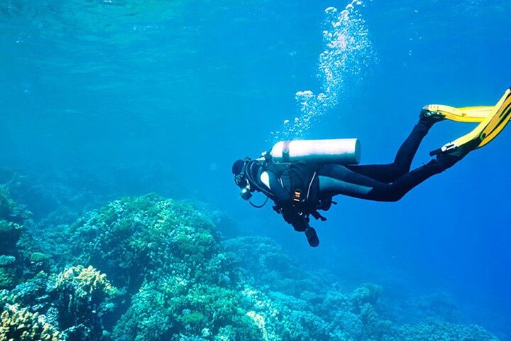 Alanya : Scuba Diving for Beginners w/ Lunch and Transfer