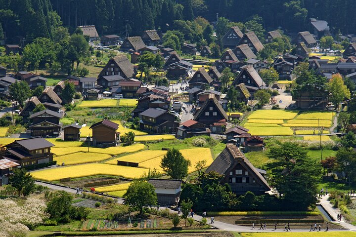 Private Sightseeing Tour to Shirakawago and Takayama from Nagoya