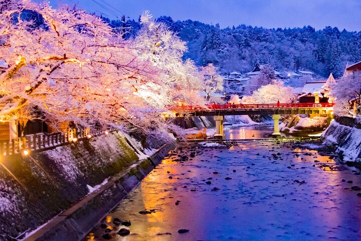 Private Sightseeing Tour to Shirakawago and Takayama from Nagoya