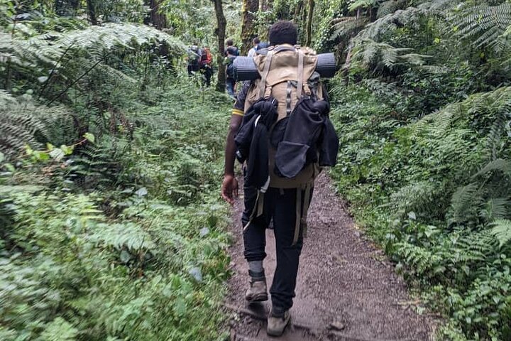 Best 1# day Kilimanjaro trek Machame with Kilinge Adventure