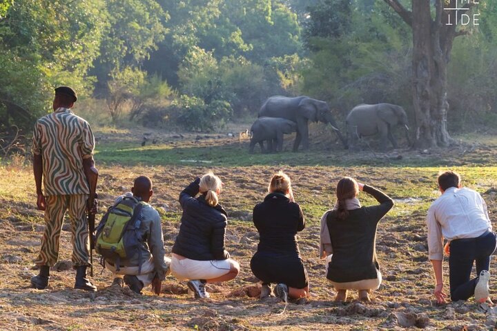 Exclusive Game Drive & White Rhino Safari in Livingstone Zambia
