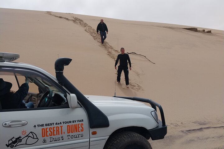 Marine Dune Day: Catamaran Cruise and Sandwich Harbor Dune Drive