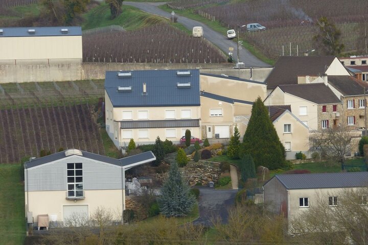 One Day Tour in Champagne with Lunch and Tasting