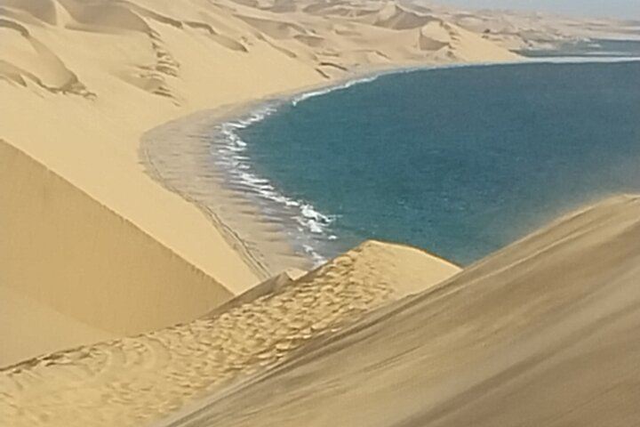 Marine Dune Day: Catamaran Cruise and Sandwich Harbor Dune Drive