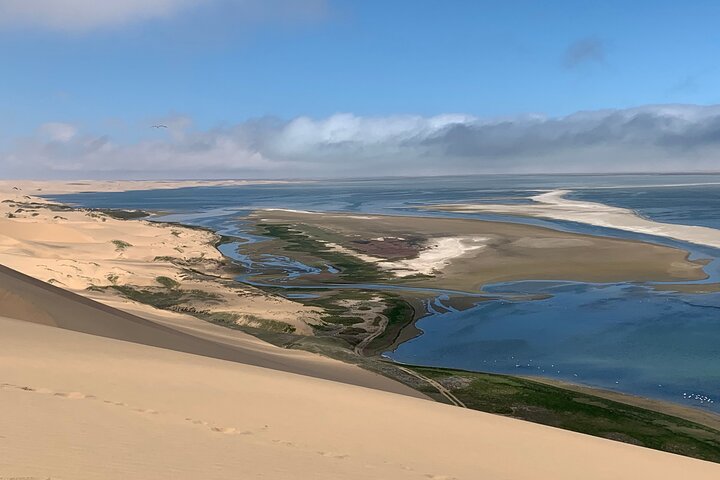 Marine Dune Day: Catamaran Cruise and Sandwich Harbor Dune Drive