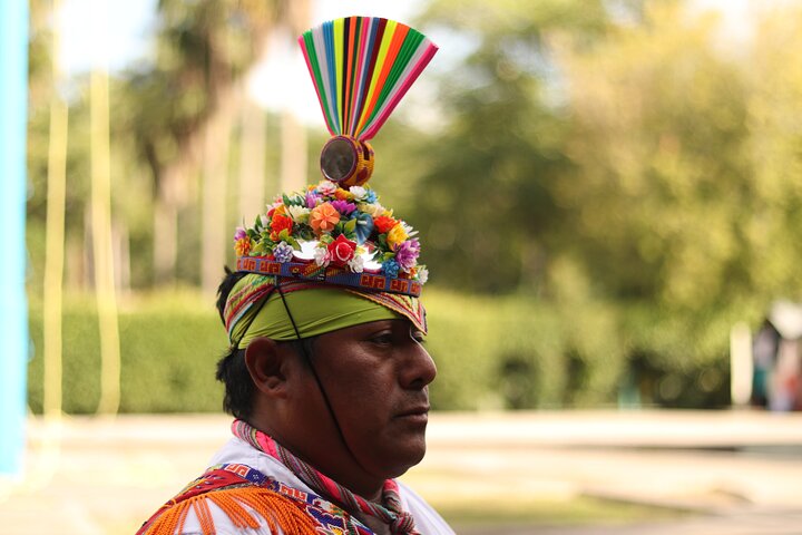 Tajin And Papantla Tour From Veracruz Or Boca Del Rio. Fast way