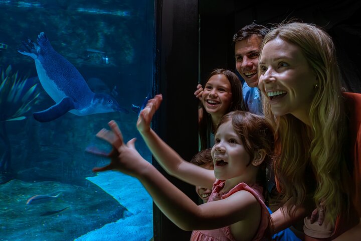 SEA LIFE Sunshine Coast Aquarium Entrance Ticket