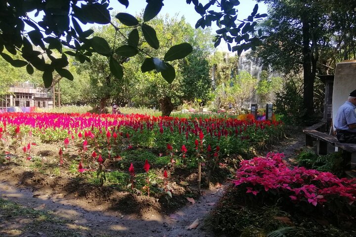 Visit Dantewada(Angel Land), Blue Temple, and Sticky Waterfall