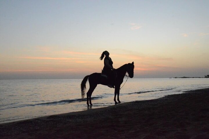 Horse Riding in Manavgat Side Forest and Beach