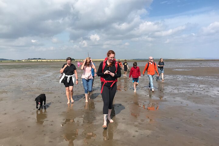Pilgrims' Path walk across the sands to Holy Island