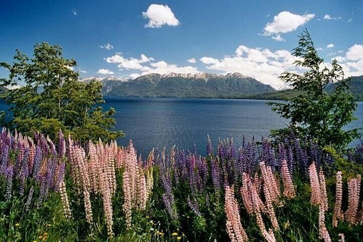 Road of the Seven Lakes from San Martin de los Andes