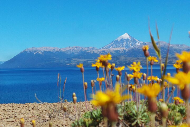 Lake Huechulafquen and Lanin Volcano Day Trip