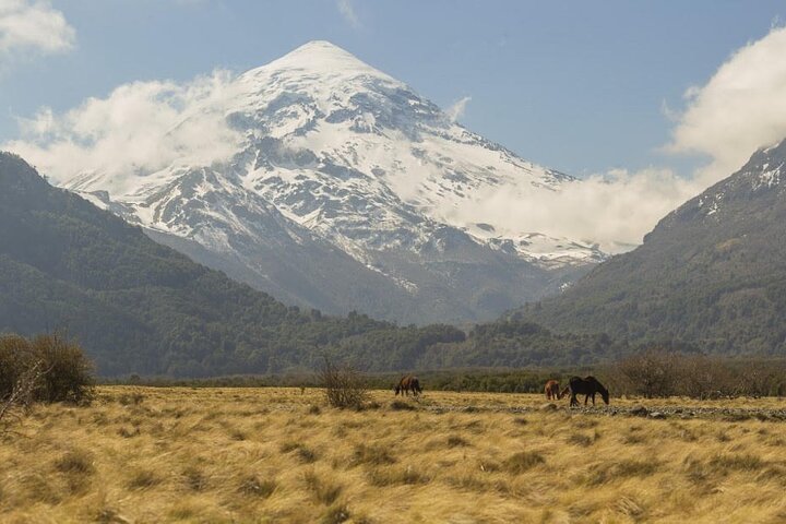 Lake Huechulafquen and Lanin Volcano Day Trip