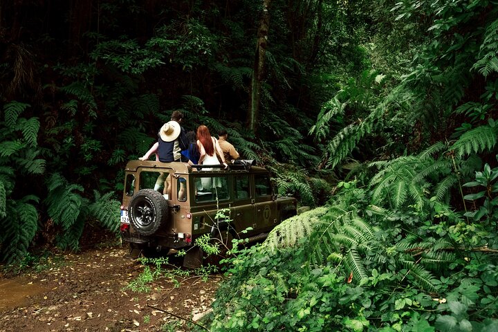 Porto Moniz, Seixal, Fanal Forest, Cliff Skywalk in Open Roof 4X4
