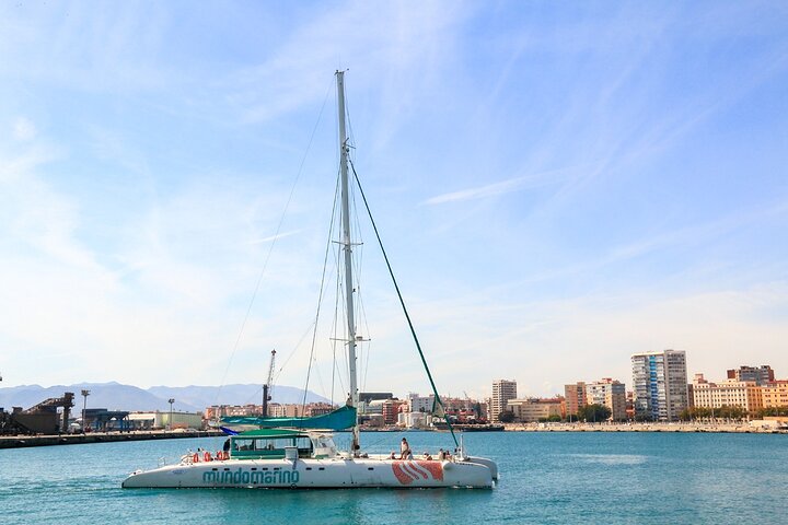 Bay of Malaga Catamaran Sailing