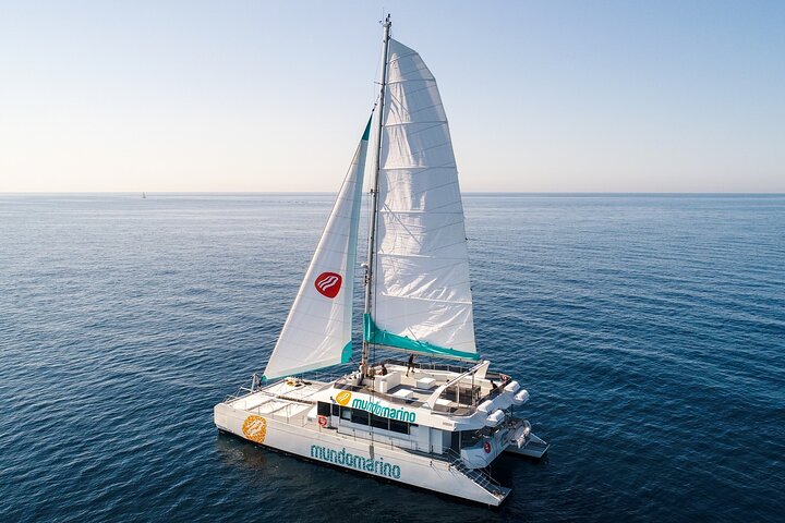 Bay of Malaga Catamaran Sailing