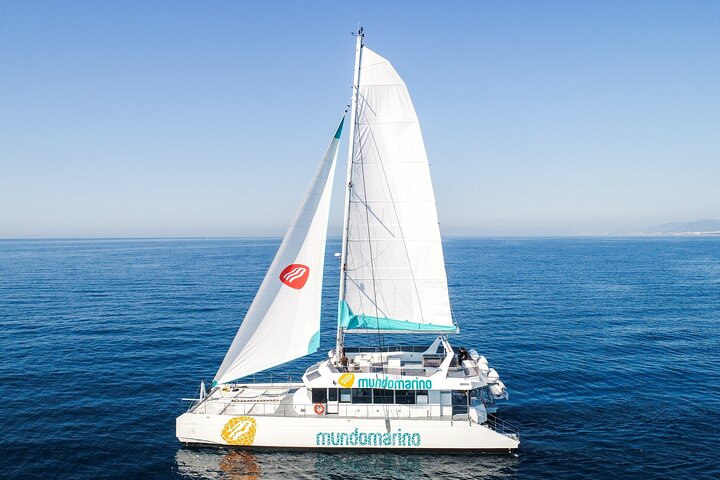Bay of Malaga Catamaran Sailing