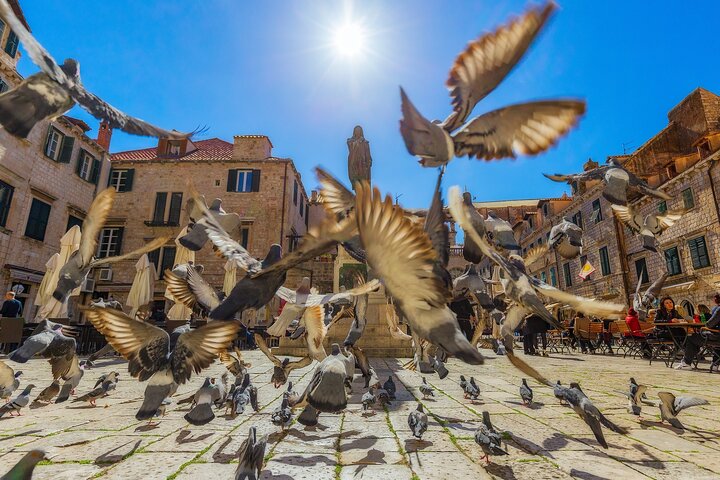 Dubrovnik Guided Tour & Free Time From Makarska Riviera