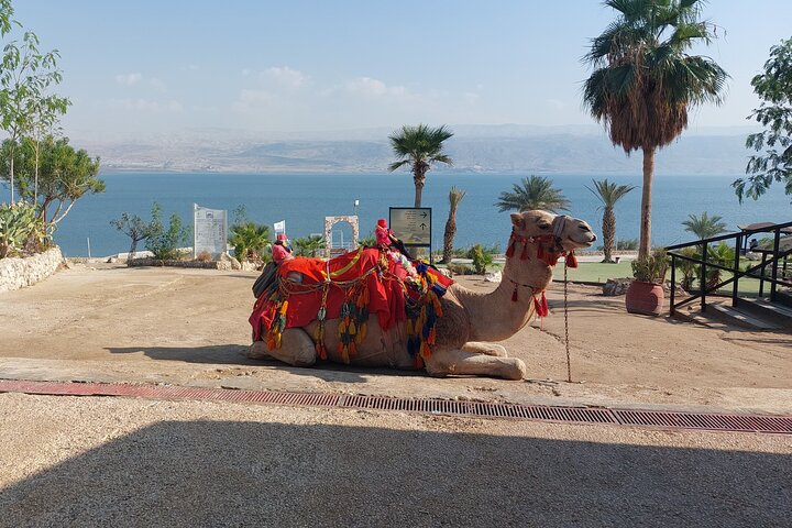 Holyland Christian Highlights 5 Days - Private Tour