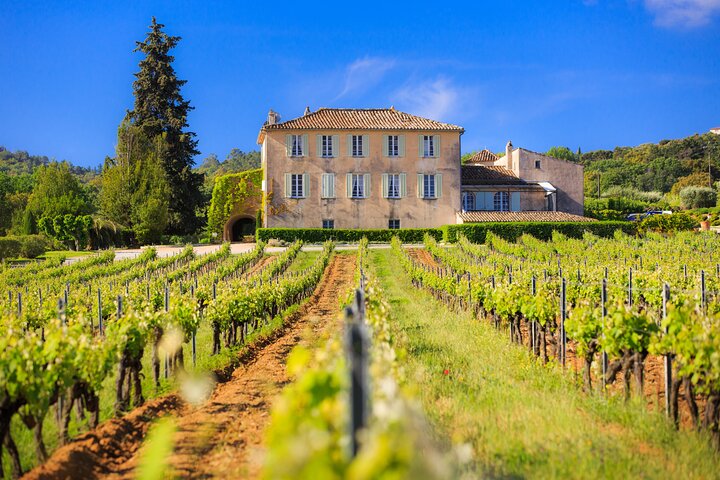 Dinner in the Vineyard Saint Tropez