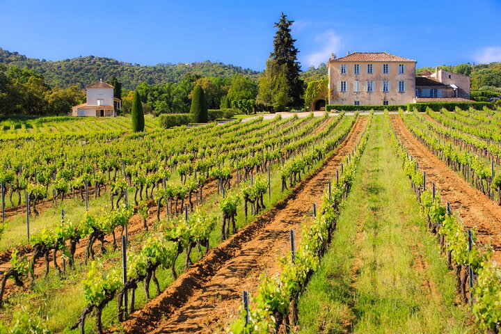 Dinner in the Vineyard Saint Tropez