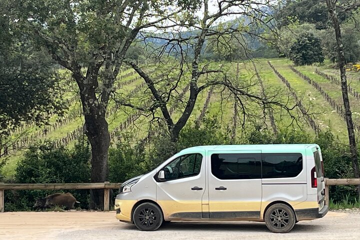 Bertrand Bosc wine and food tour in Pic St Loup