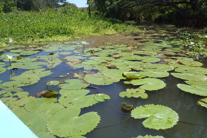 Nicaragua One Day Tour to Colonial Granada and Crafty Masaya