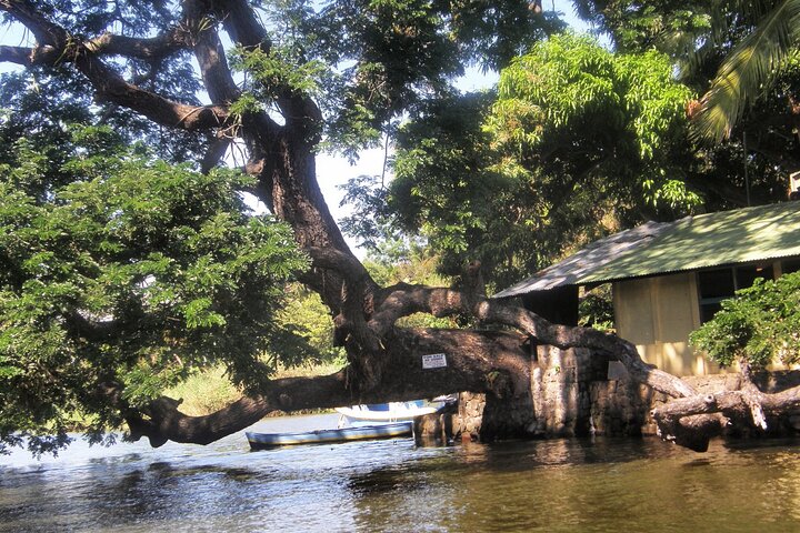 Nicaragua One Day Tour to Colonial Granada and Crafty Masaya
