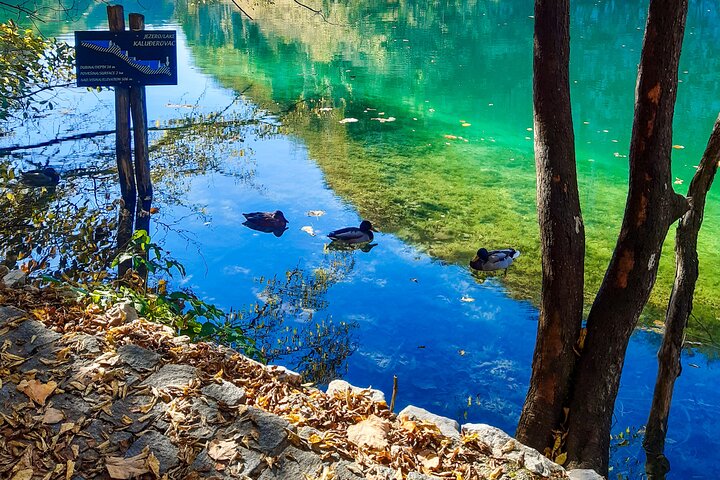 Zagreb: Plitvice with Ticket & Rastoke Guided Tour Boat Ride
