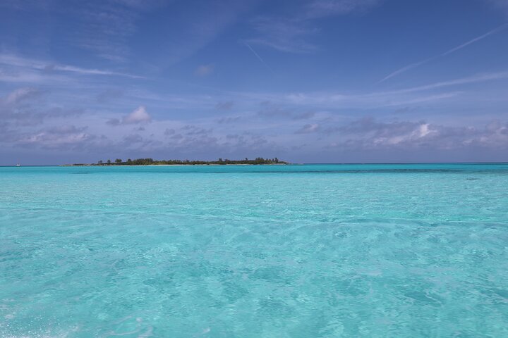 Nassau Swimming Pigs and Private Beach Club Escape