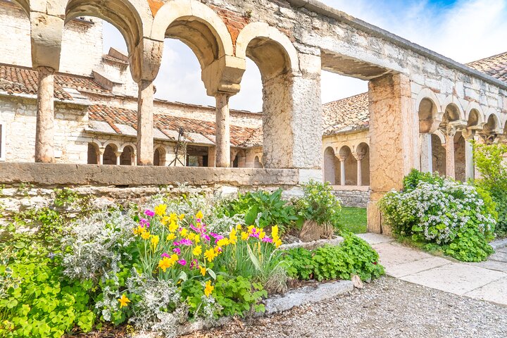 Grand tour of Valpolicella : Amarone focus, 2 Wineries and Lunch
