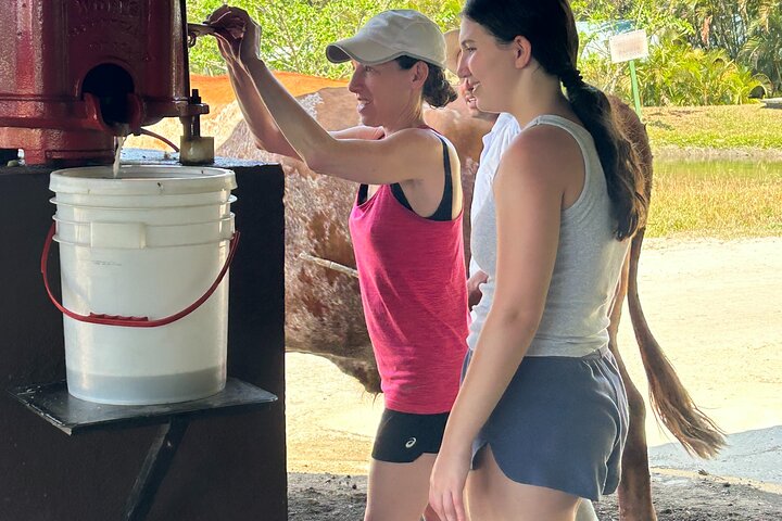 Adventure in Volcano Combo Tour! - Zip Line, Waterfall, Hot Springs and More
