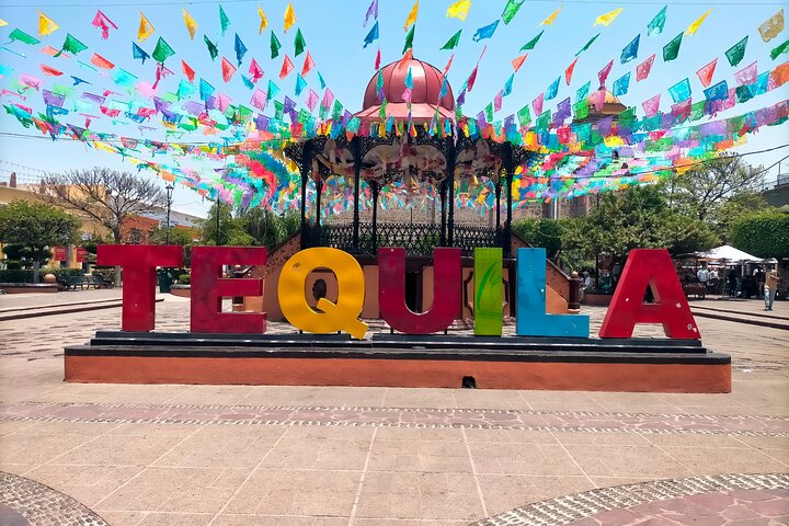 José Cuervo Tequila Tour & Agave Fields from Guadalajara