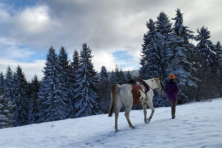 Horse riding experience from Borovets