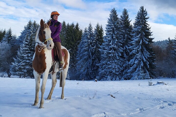 Horse riding experience from Borovets