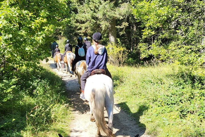 Horse riding experience from Borovets