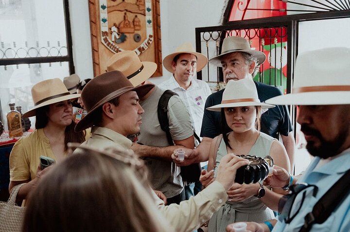 Full Day Tour to Tequila and Amatitán with Fun and Culture