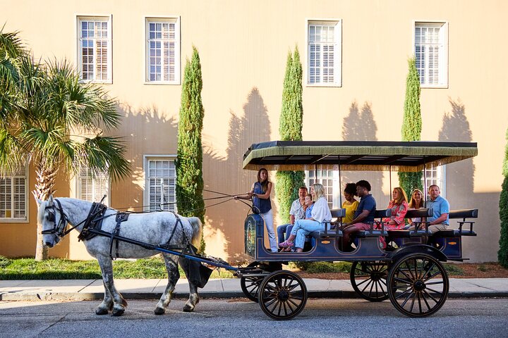 Charleston Horse-Drawn Carriage Tour: Explore Historic Charleston