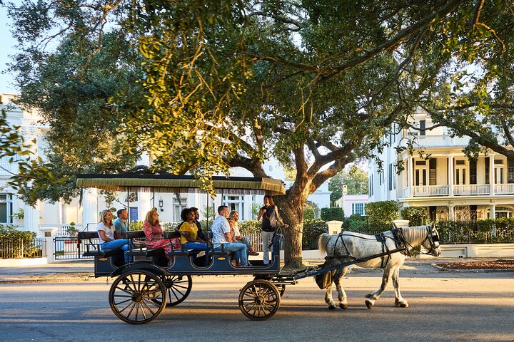 Charleston Horse-Drawn Carriage Tour: Explore Historic Charleston