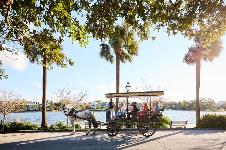Charleston Horse-Drawn Carriage Tour: Explore Historic Charleston