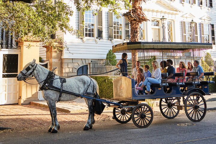 Charleston Horse-Drawn Carriage Tour: Explore Historic Charleston