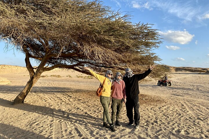 Marsa Alam Sunset Quad Safari with Camel Ride, BBQ Dinner