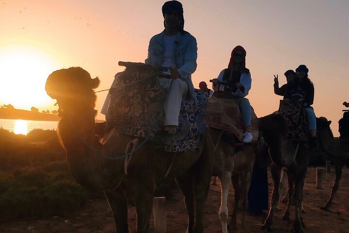 Agadir Camel Rides Local Market with Tea Drink & cakes