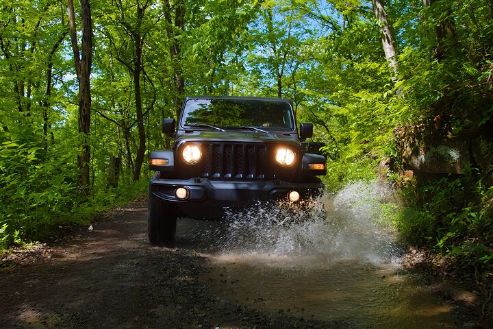 New River Gorge Jeep Tour (Half Day)