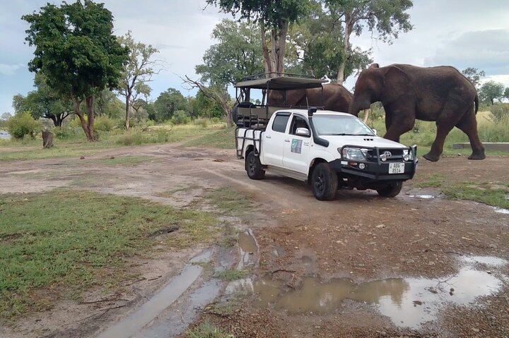 Exclusive Game Drive & White Rhino Safari in Livingstone Zambia