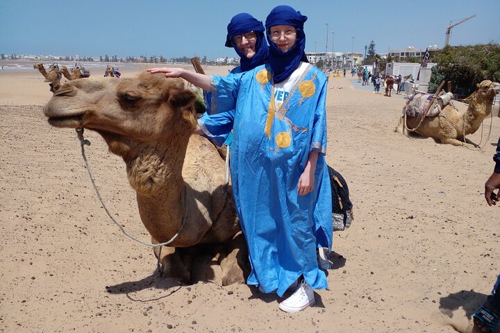Essaouira Camel Ride, Quad Bike & Buggy Adventure
