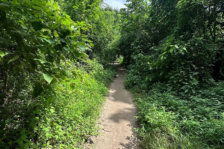 Private Tayrona Hike to Cabo San Juan: Bilingual Guide+Transport