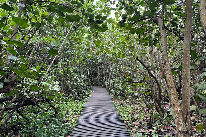 Private Tayrona Hike to Cabo San Juan: Bilingual Guide+Transport